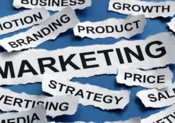 Career Options after MBA-Marketing