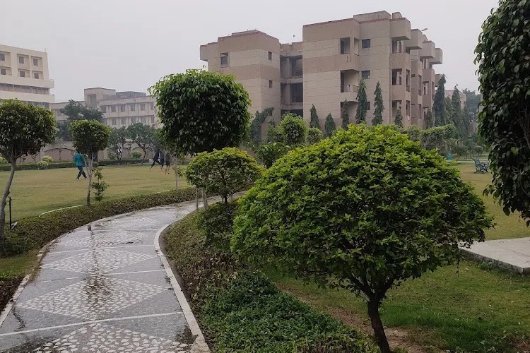 Accman Institute of Management, Greater Noida