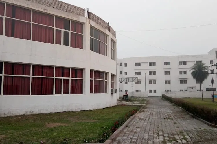 Accurate Institute of Architecture and Planning, Greater Noida