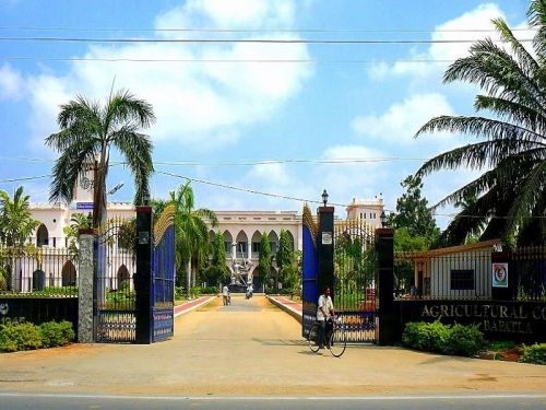 Acharya NG Ranga Agricultural University, Agricultural College Bapatla, Guntur