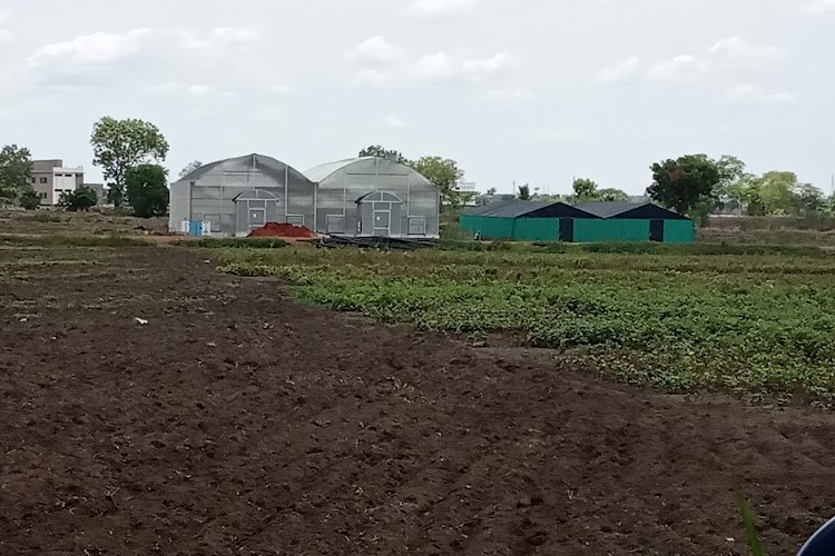 Acharya NG Ranga Agricultural University, Guntur