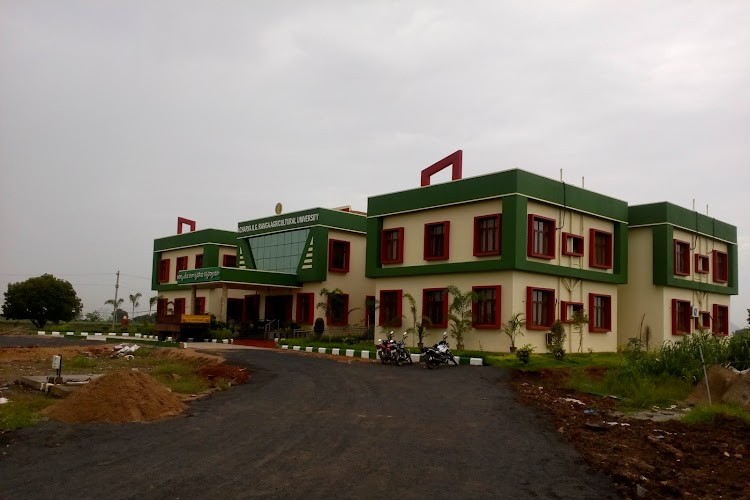 Acharya NG Ranga Agricultural University, Guntur