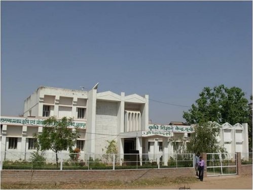 Agriculture University, Kota