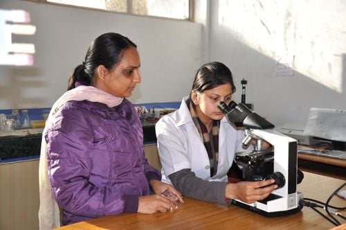 Akal College of Agriculture, Sirmaur