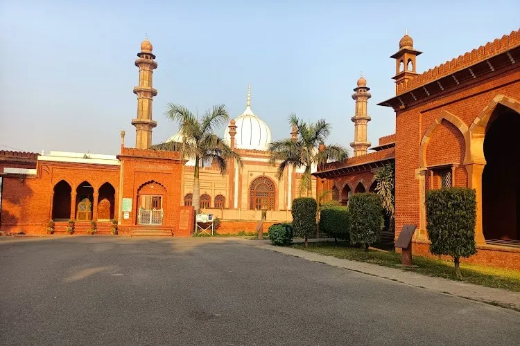 Aligarh Muslim University, Aligarh