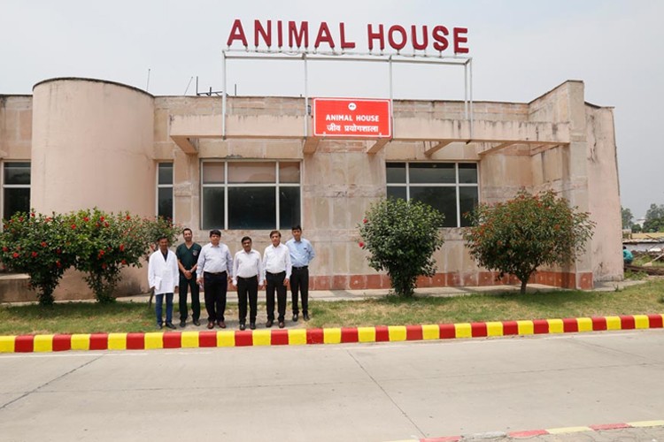 All India Institute of Medical Sciences, Rishikesh