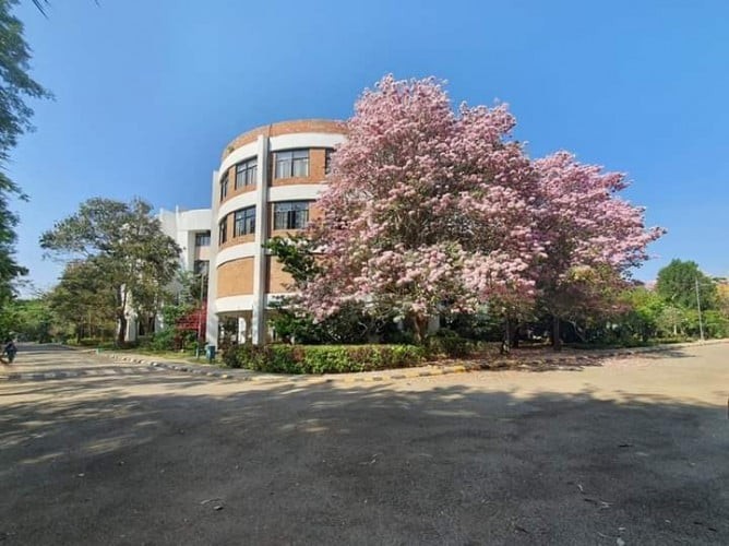 Alliance School of Liberal Arts and Humanities, Bangalore