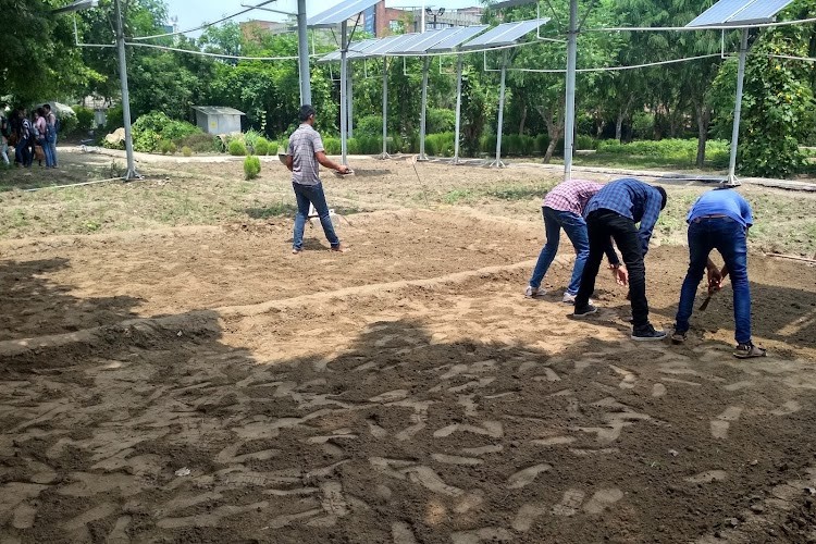 Amity Institute of Organic Agriculture, Noida