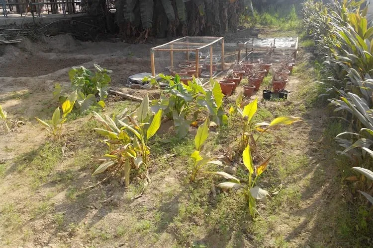 Amity Institute of Organic Agriculture, Noida