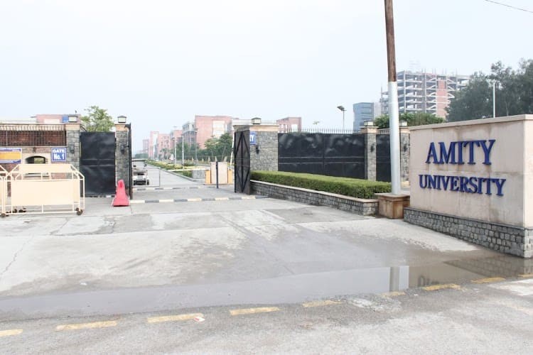 Amity Institute of Physiotherapy, Noida