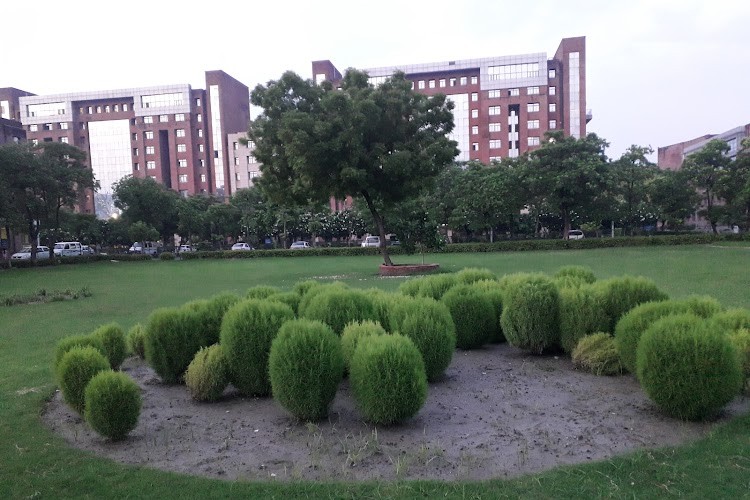 Amity Law School, Noida