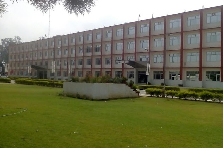 Anand College of Engineering and Management, Kapurthala