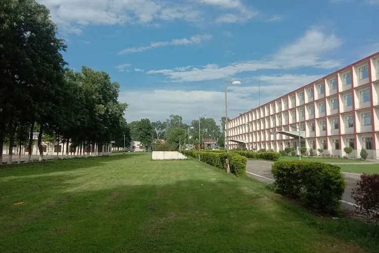 Anand College of Engineering and Management, Kapurthala
