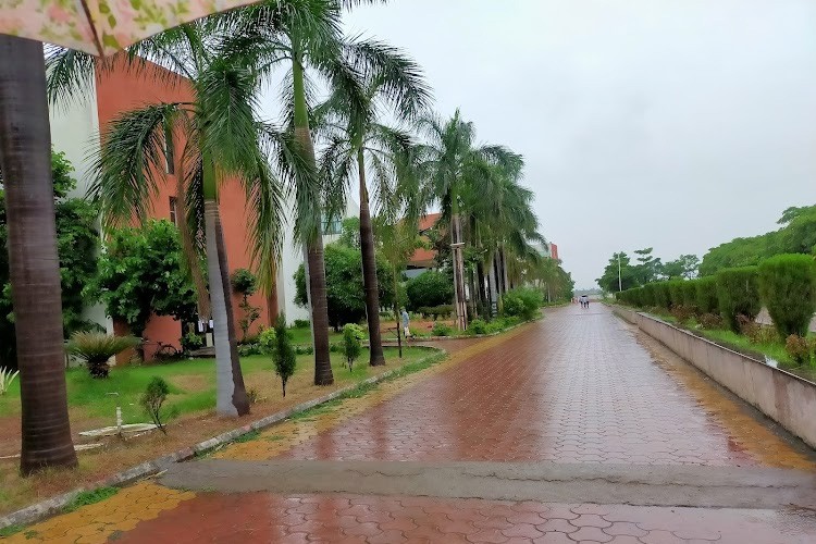 Anjaneya University, Raipur