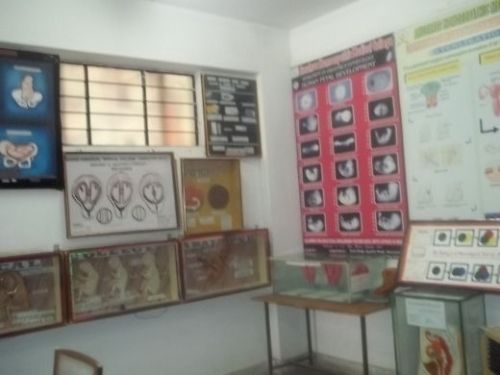 Anushree Homoeopathic Medical College, Jabalpur