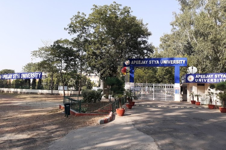 Apeejay Stya University, Gurgaon