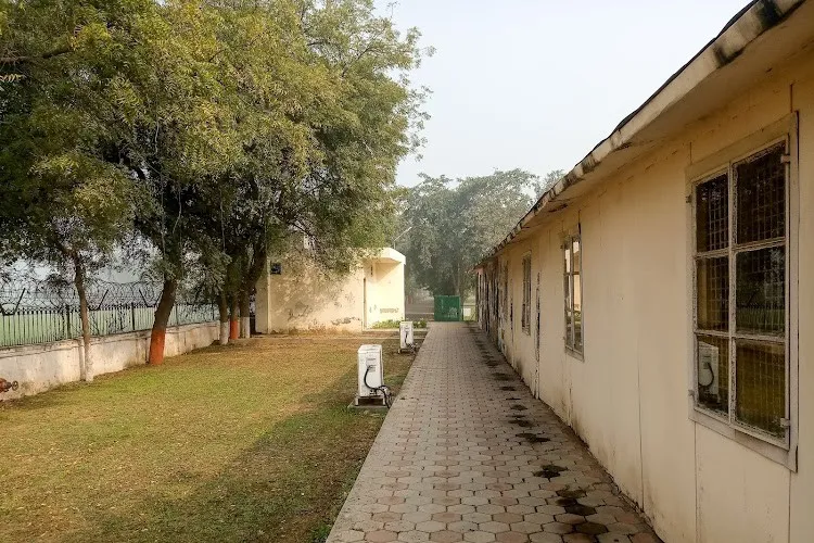 Apeejay Stya University, Gurgaon