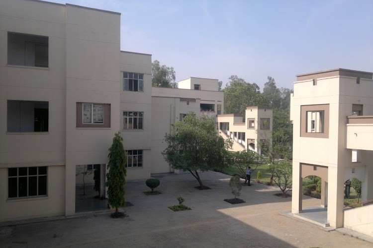 Apeejay Stya University, Gurgaon