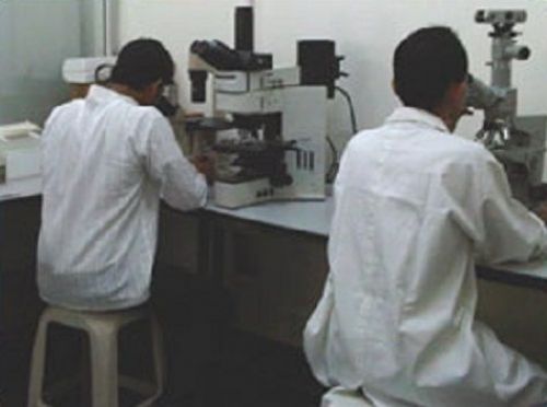 Apeejay Svran Institute for BioSciences and Clinical Research, Gurgaon