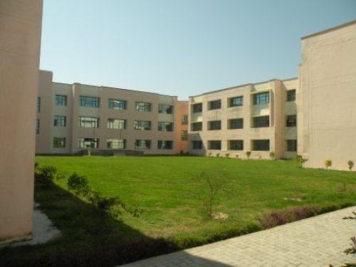 APEX College of Management and Computer Application, Rampur