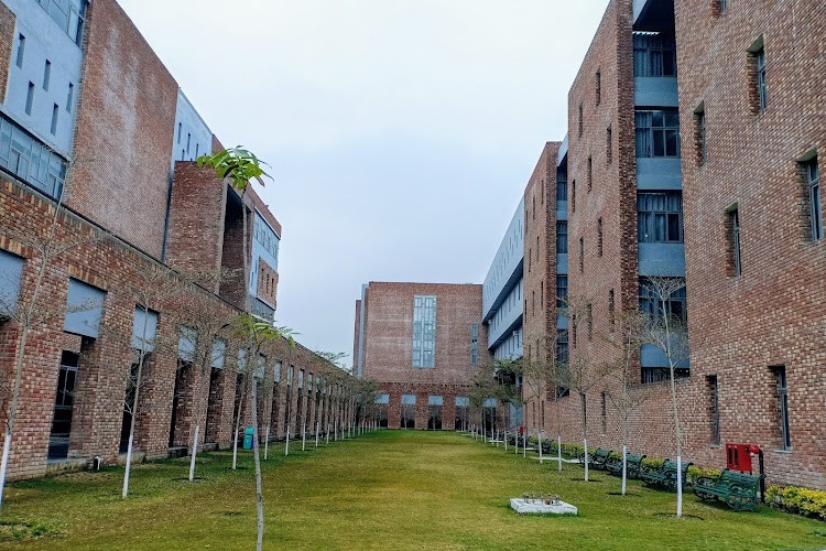 Apex Institute of Technology, Chandigarh