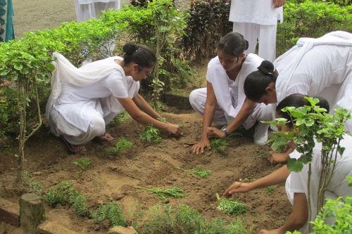 Army Institute of Nursing, Guwahati