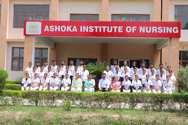 Ashoka Institute of Nursing, Patiala