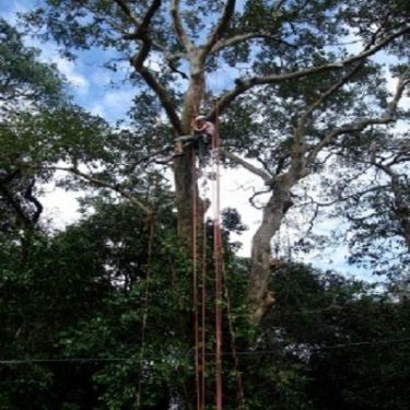 Ashoka Trust for Research in Ecology and the Environment, Bangalore