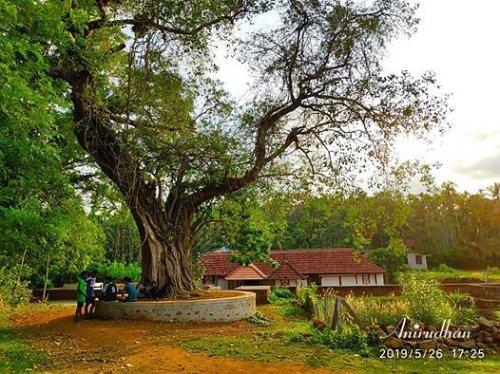 Ashtamgam Ayurveda Chikitsalayam & Vidyapeedham, Palakkad