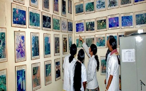 Ashwini Ayurvedic Medical College & Research Centre, Tumkur