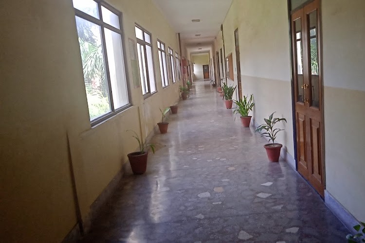 Asia Pacific Institute of Information Technology, Panipat