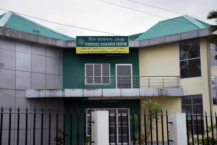 Assam Agricultural University, Jorhat