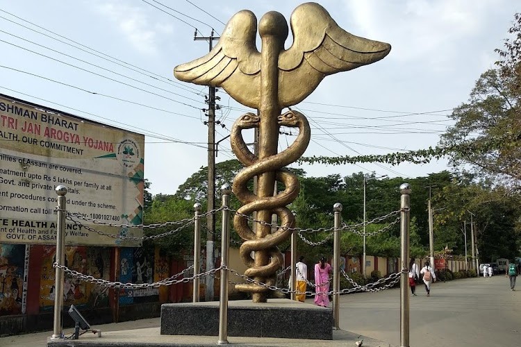 star smile makeover - Not For Everyone