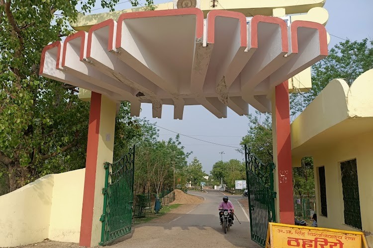 Awadhesh Pratap Singh University, Rewa