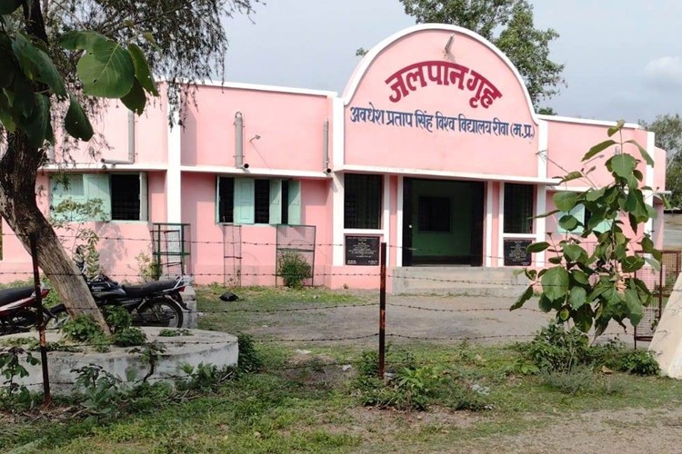 Awadhesh Pratap Singh University, Rewa