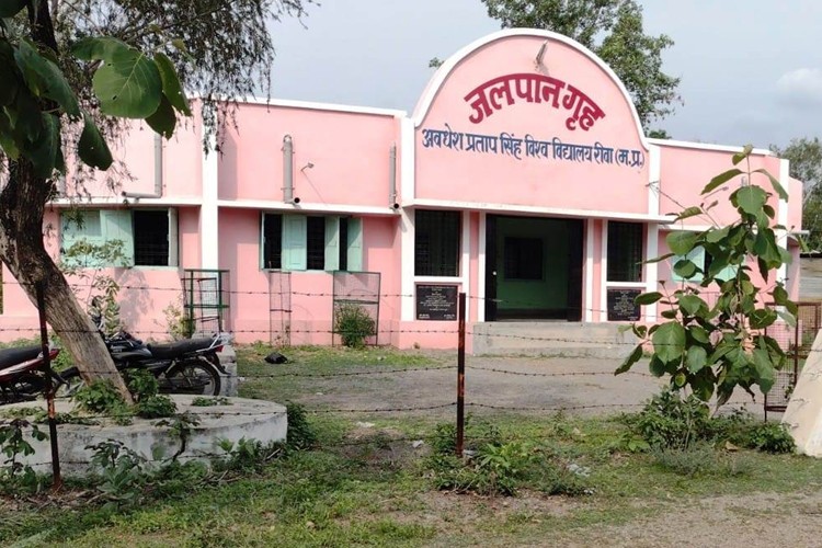 Awadhesh Pratap Singh University, Rewa