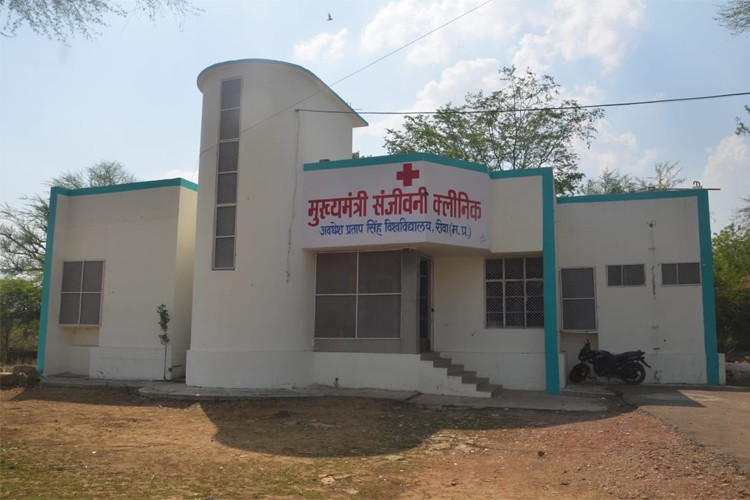 Awadhesh Pratap Singh University, Rewa