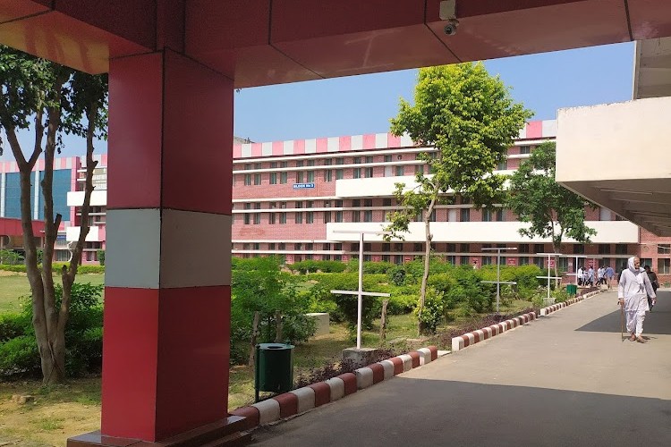 Baba Mastnath University, Rohtak