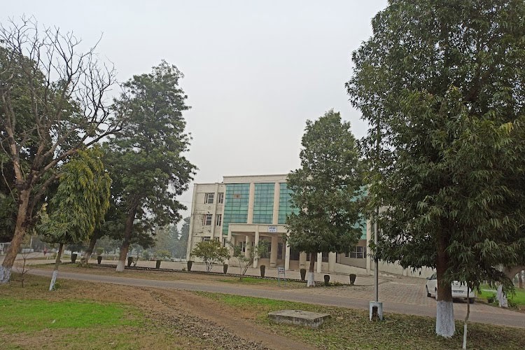 Sardar Beant Singh State University, Amritsar