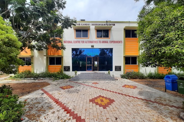 Bharathidasan University, Tiruchirappalli