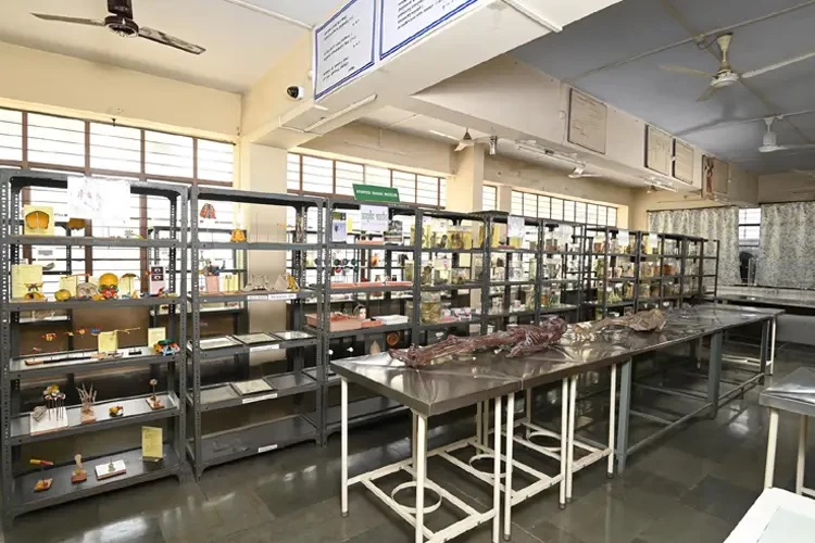 Bharati Vidyapeeth College of Ayurved, Pune