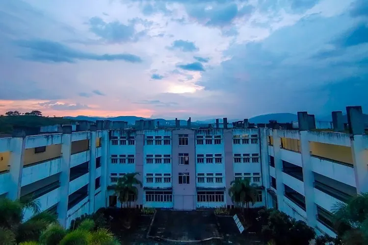 Bharati Vidyapeeth's College of Engineering Lavale, Pune