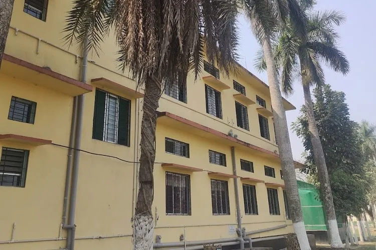 BN College, Dhubri