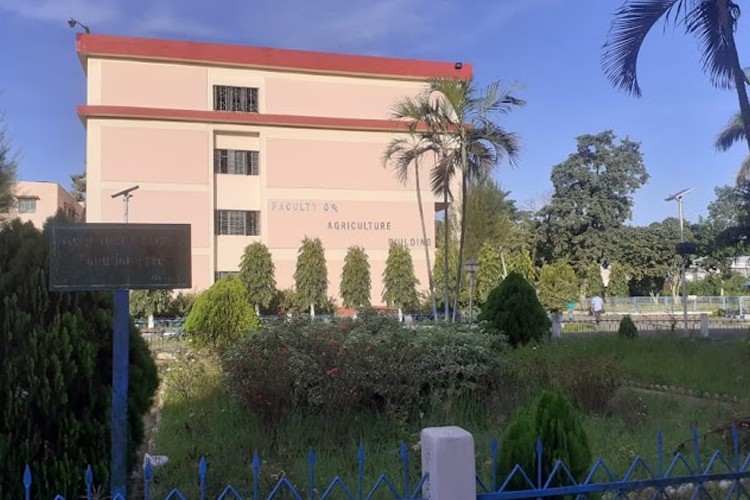 Bidhan Chandra Krishi Viswavidyalaya, Mohanpur