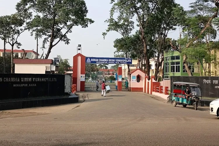 Bidhan Chandra Krishi Viswavidyalaya, Mohanpur