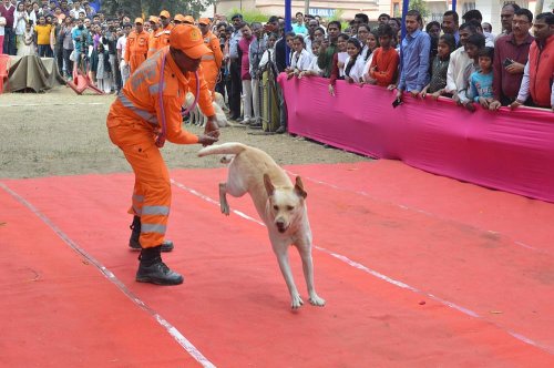 Bihar Animal Sciences University, Patna