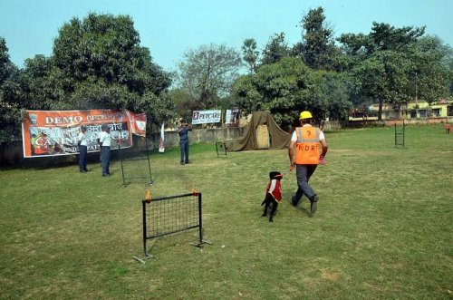 Bihar Animal Sciences University, Patna