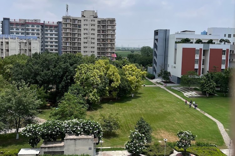 BML Munjal University, Gurgaon