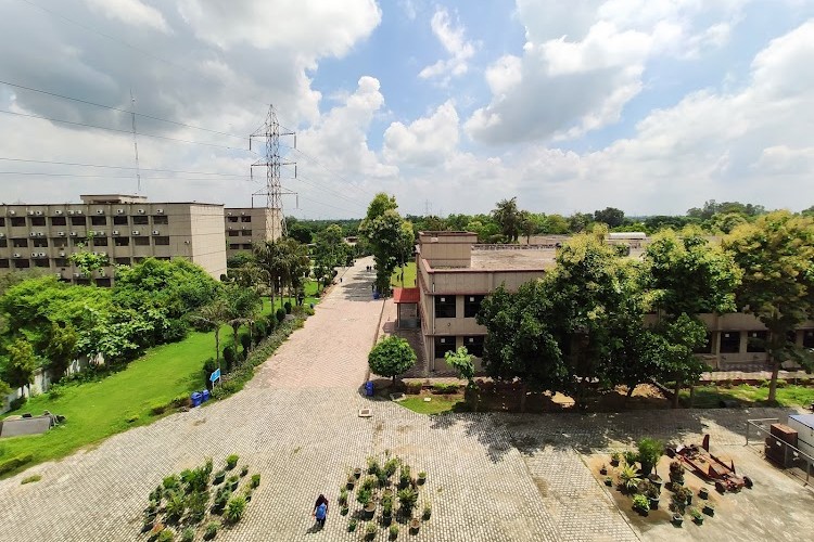 BS Anangpuria Institute of Technology and Management, Faridabad