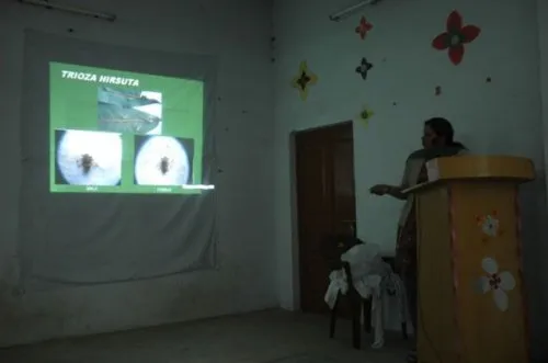 B.S.M. P.G. College, Roorkee